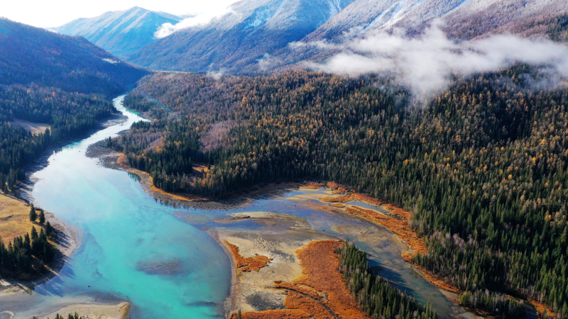 我的阿勒泰·美景篇 | 布爾津：喀納斯秋景美如畫
